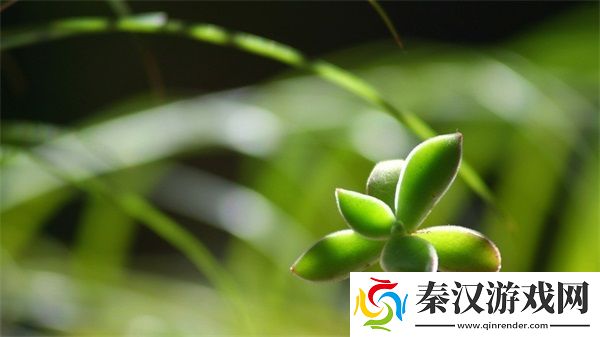 美国一面亲上边一面膜评价